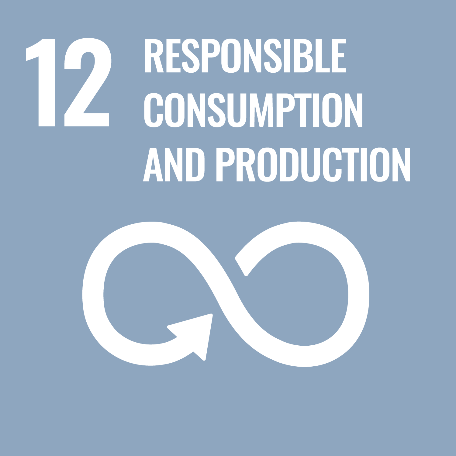 Obiettivo 12. Consumo e produzione responsabili