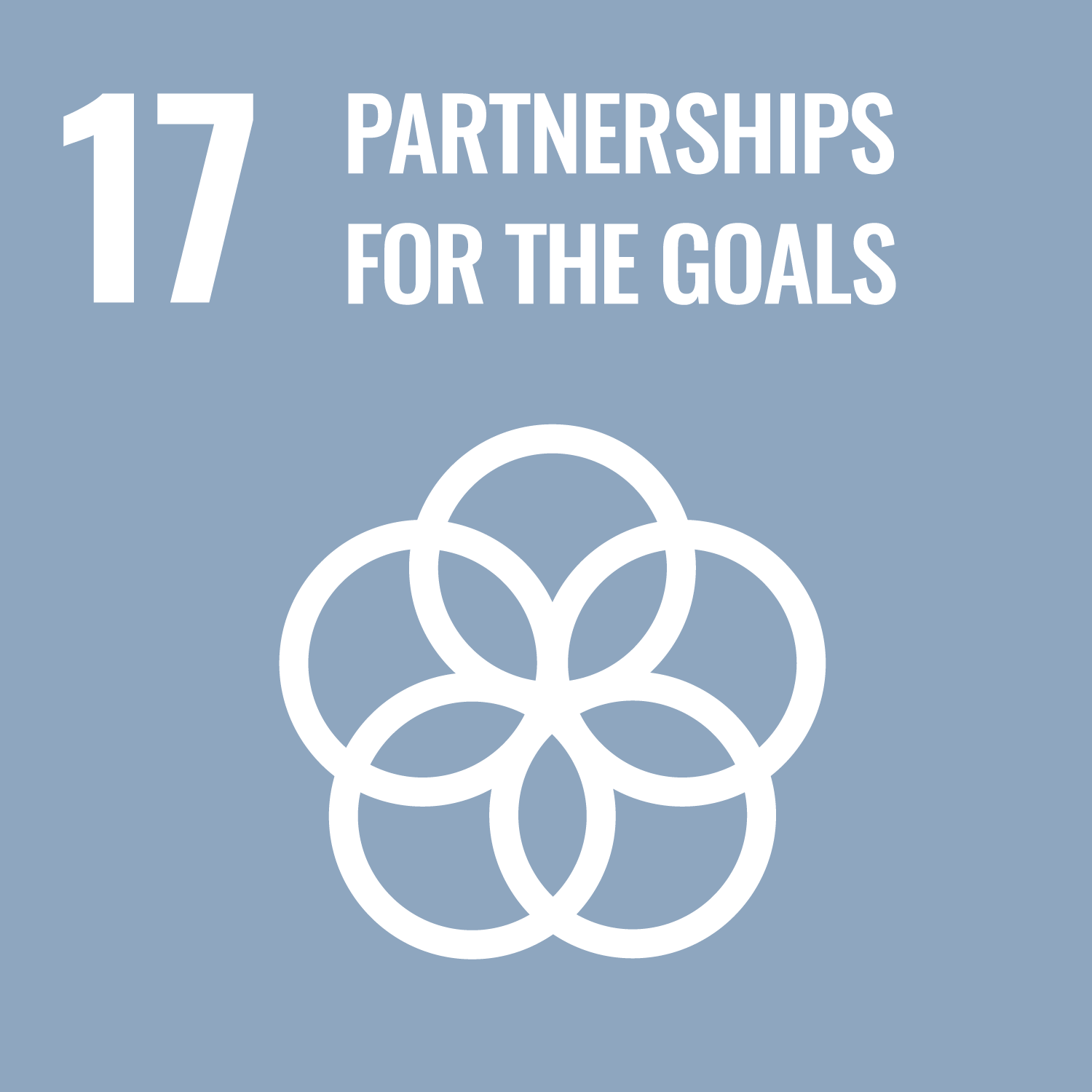 Obiettivo 17. Partnership per gli obiettivi