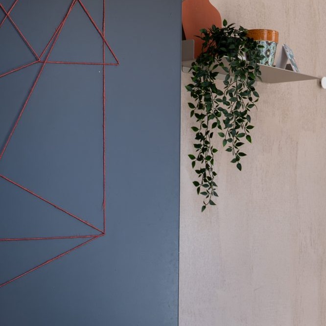 Parete blu con decorazione geometrica e mensola con una pianta nello studio GOODCOM