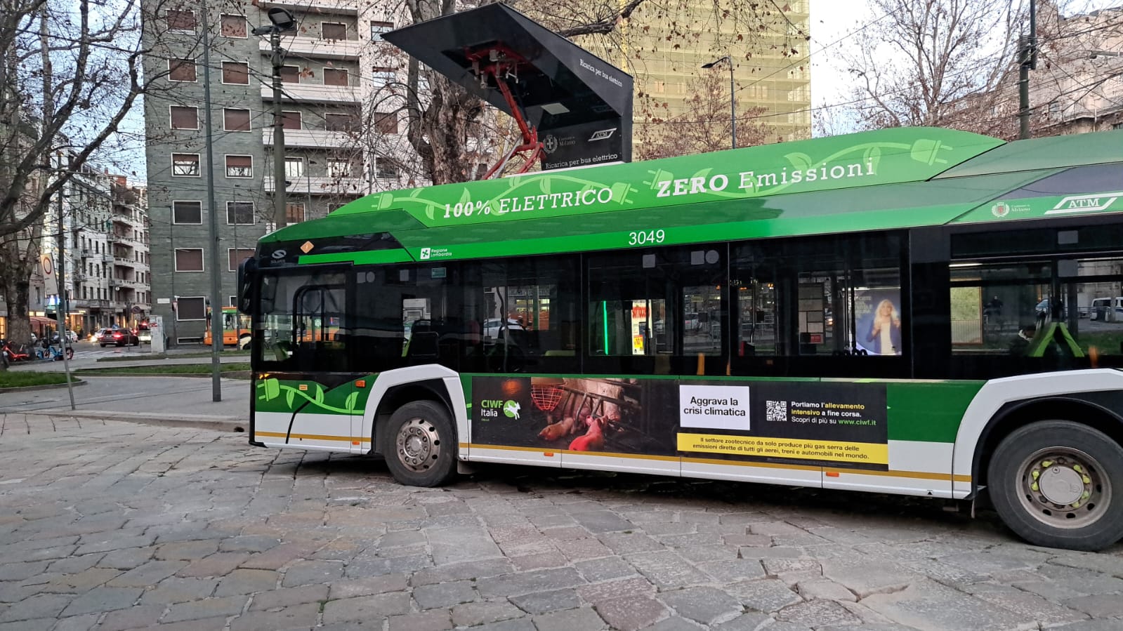 La campagna CIWF sulla fiancata di un autobus a Milano
