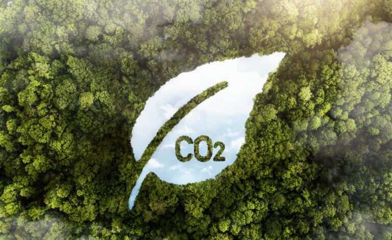 Foglia con la scritta CO2 ritagliata su una foresta vista dall'alto, per il carbon offsetting