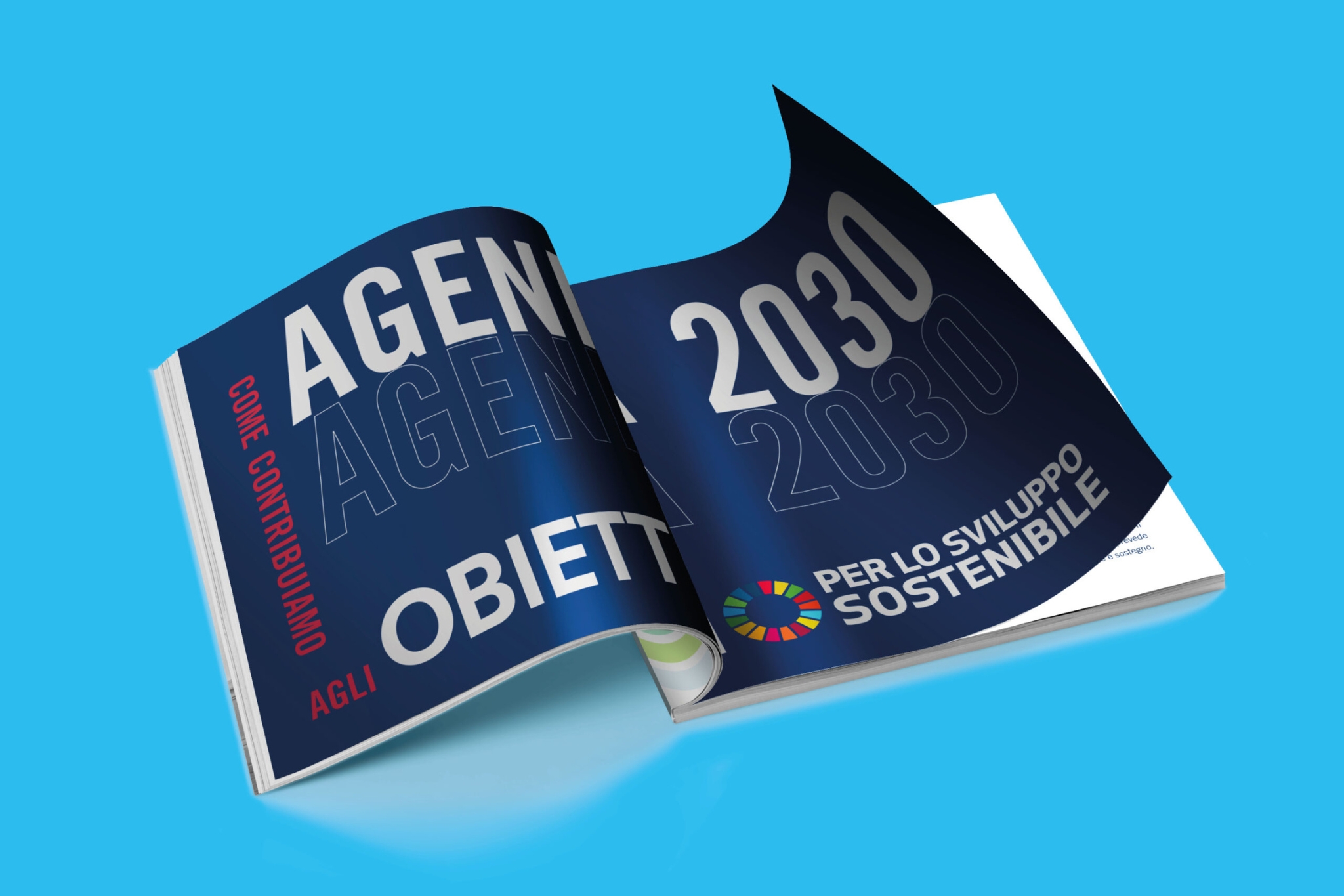 Il capitolo dedicato agli obiettivi 2030